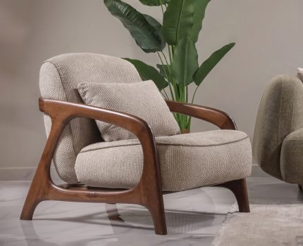 انتريه دورا Dora living room